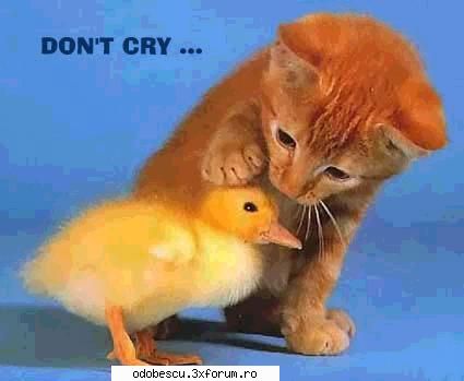 Poze funny... - Cosmy - FUN