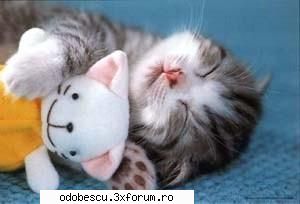 :rusine: poze funny...