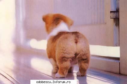 stati bine la poze funny...